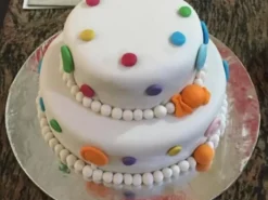 2 Tier Simple Fondant Cake