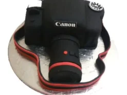 Canon DSLR Camera Fondant Cake