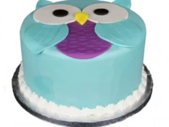 Owl Fondant Cake