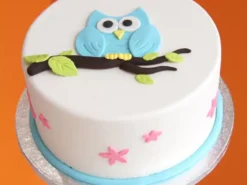 Owl Theme Designer Cake