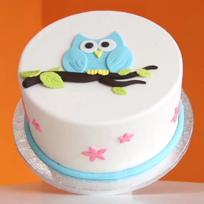 Owl Theme Designer Cake 3 Owl Theme Designer Cake
