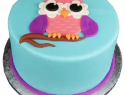 Owl Theme Fondant Cake