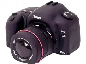 Photo Camera Fondant Cake