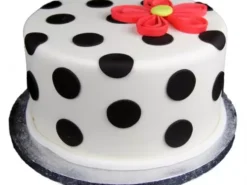 Polka Dot Quill Fondant Cake