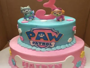 2 Tier Paw Patrol Fondant Cake