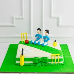 Cricket Pitch Theme Cake