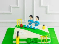 Cricket Pitch Theme Cake