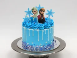 Frozen Cakes 1 From Lallamtop Cake Shop