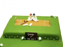 Heavenly Delights Cricket Fondant Cake
