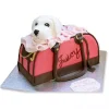 Juicy Dog Bag Fondant Cake From Lallantop Cake Shop Noida And East Delhi From Lallamtop Cake Shop