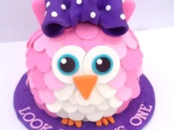 Owl Designer Birthday Cake