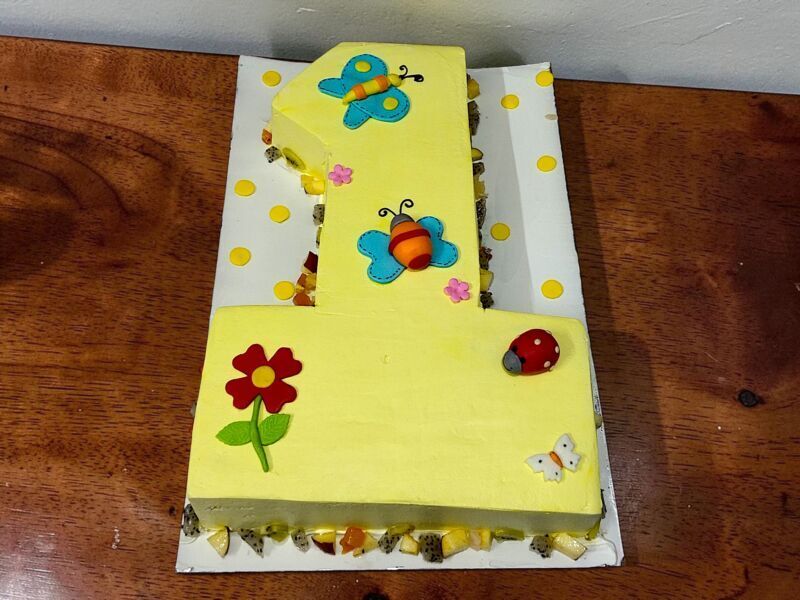 1st Birthday Butterfly & Flower Designer Cake 3 1st-birthday-butterfly-flower-designer-cake