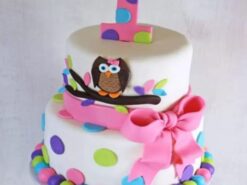 1st Birthday Owl Designer Cake