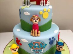 2 Tier Paw Patrol Cake