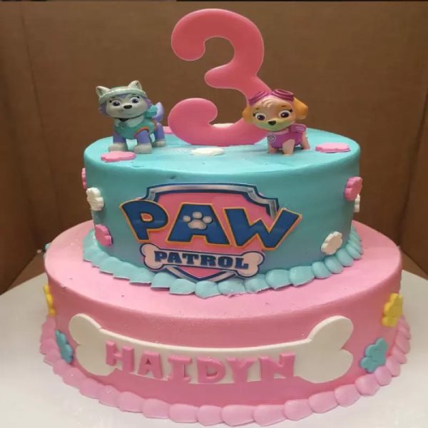 2 Tier Paw Patrol Fondant Cake 3 2 Tier Paw Patrol Fondant Cake