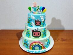 3 Tier Chocomelon Designer Cream Cake
