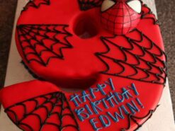 9th Birthday Spiderman Customized Cake
