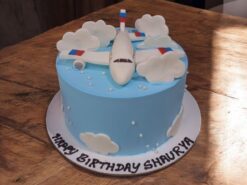 aviation-delight-cake