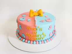 Baby Reveal Baby Shower Cake