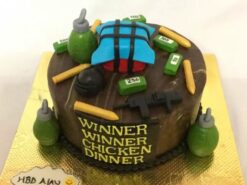 PUBG Winner Chicken Dinner Cake