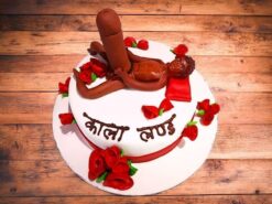 big-dick-funny-guy-fondant-cake