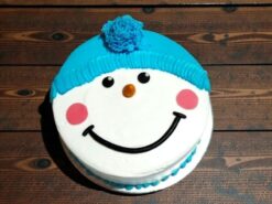 Blue Cap Snowman Face Cake