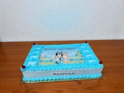 Bluey Family Edible Photo Birthday Cake