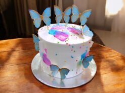 butterfly-splash-celebration-cake