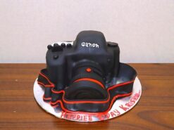 Camera Fondant Cake
