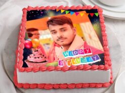 Capture the Moment Birthday Photo Cake