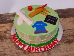 Cricket Champion Birthday Cake