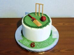 Cricket Champion Fondant Cake