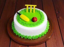 Cricket Field Designer Cake
