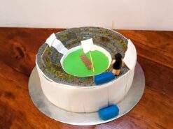 Cricket Ground Theme Cake