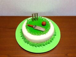 Cricket Pitch Fondant Cake