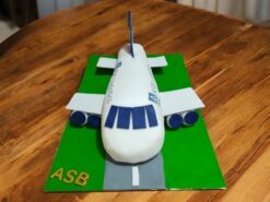 Customized Logistics Airplane Cake