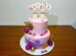 Cute Cat Theme Two Tier Birthday Cake
