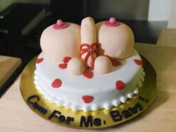 dick-and-boob-naughty-cake