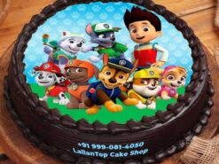 Paw Patrol Cartoon Photo Cake
