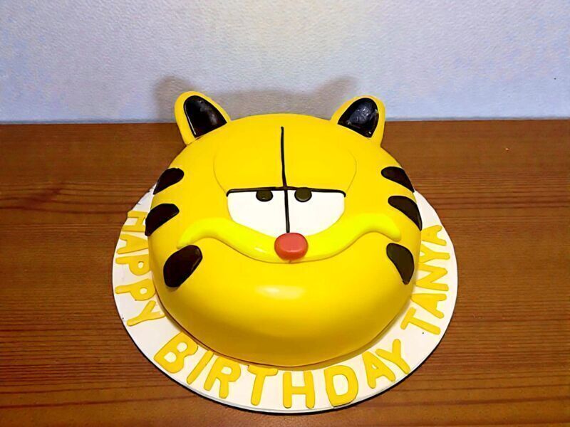 Garfield Cat Face Designer Cake 3 Garfield Cat Face Designer Cake