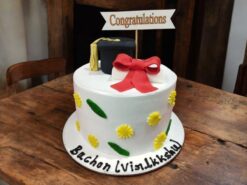 Graduation Glory Cake