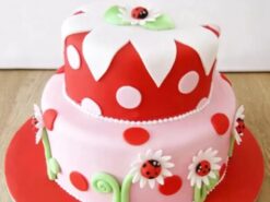 Ladybird 1st Birthday Fondant Cake