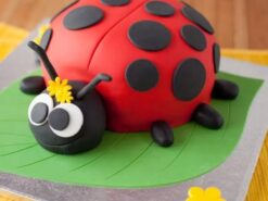 Ladybird Bug Fondant Cake