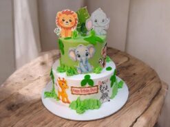 LallanTop Jungle Journey Cake