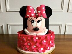 Minnie Mouse 1st Birthday Fondant Cake