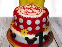 Minnie Mouse Birthday Cake