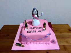 Pink Bridal Theme Bachelorette Cake
