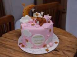 Pink Cloud Baby Celebration Cake