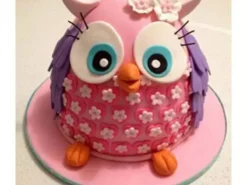 Pinki The Owl Fondant Cake