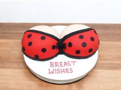 polka-red-dot-bra-naughty-cake